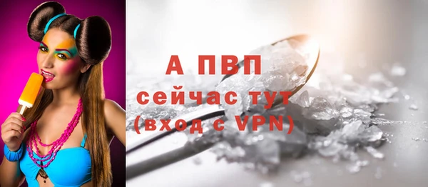 индика Баксан