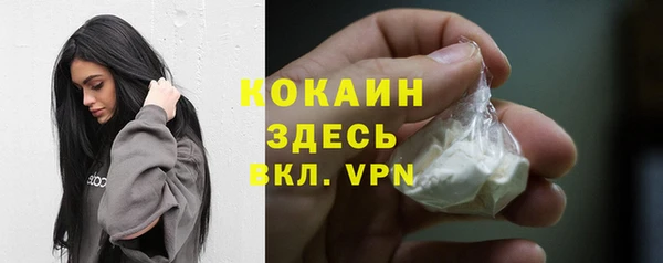 индика Баксан